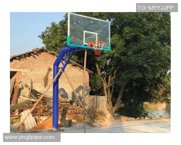 优质体育器材篮球架批发服务提升您的运动体验与场馆设施